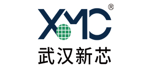 武汉新芯集成电路制造有限公司